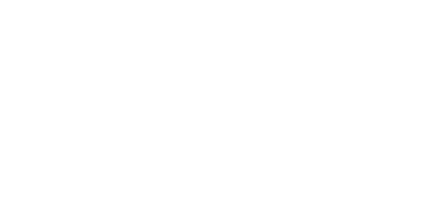 Instituto Federal