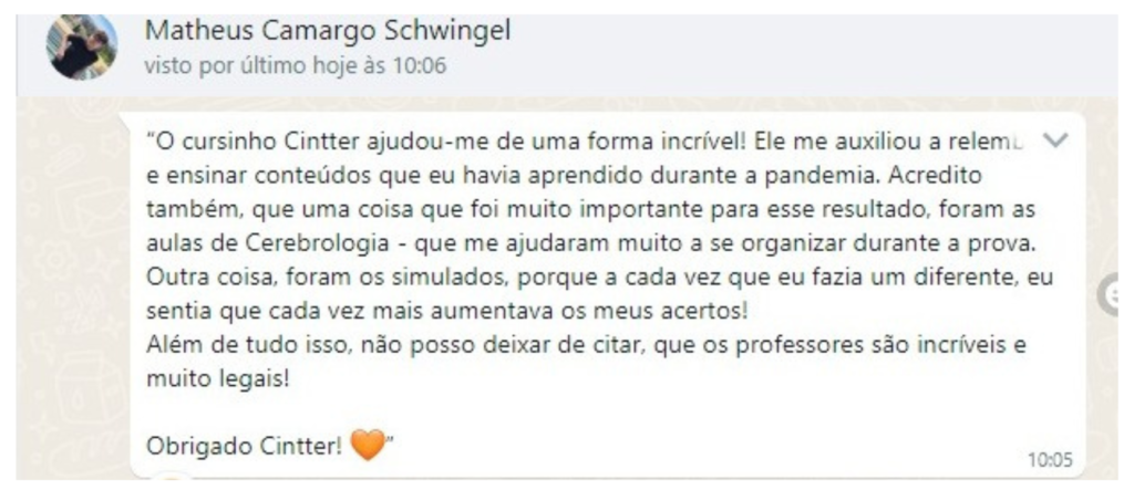 matheus camargo schwingel